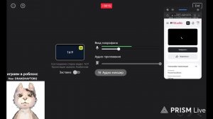 Играем в роблокс