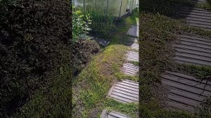 VID_20260809_160239[1]