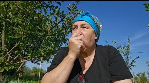 Выживаем  летом, все посохло при +40 и ветер