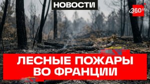 Россия отреагировала на обвинения в причастности к пожарам во Франции