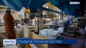 ФАКТЫ. Выпуск от 10.08.2026
