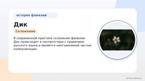 Фамилия Дик: происхождение, значение и склонение
