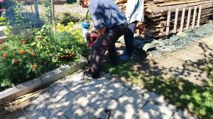 НАЧАЛИ ЗАБОР ДЕЛАТЬ// ЖИЗНЬ в Деревне//