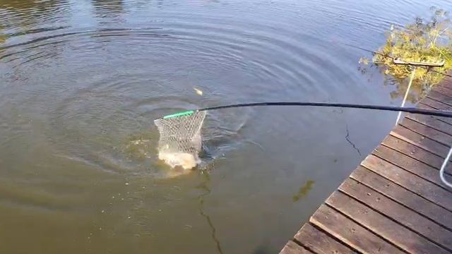 Утро на водоёме