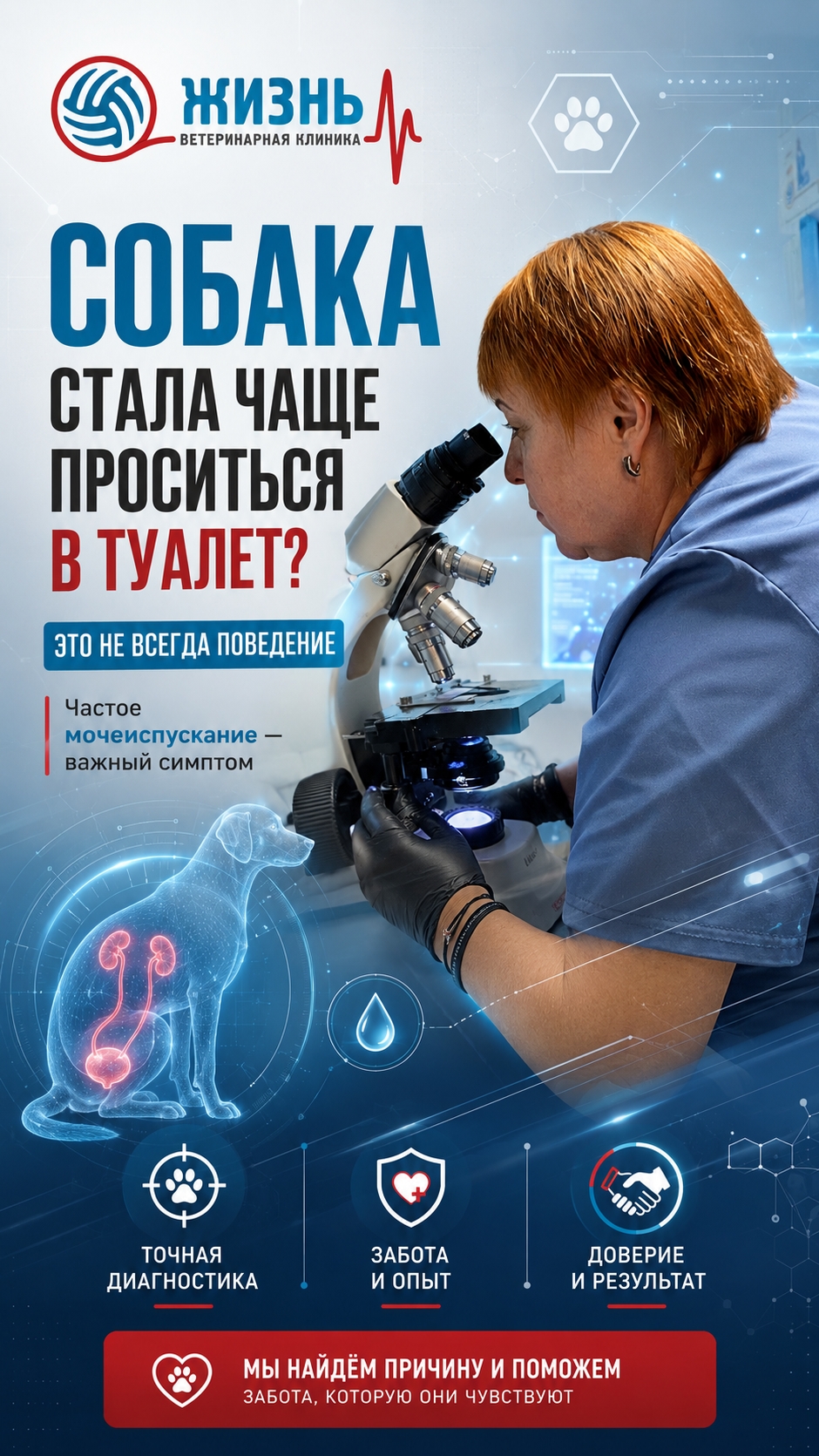 Собака часто просится на улицу. Что это может быть?