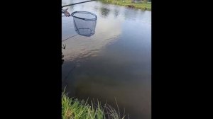 VID_20260810_094944