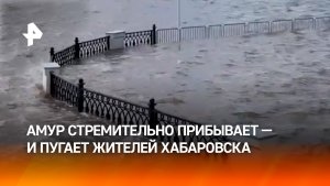 Амур пугает жителей Хабаровска — уровень реки стремительно поднялся, набережная уходит под воду