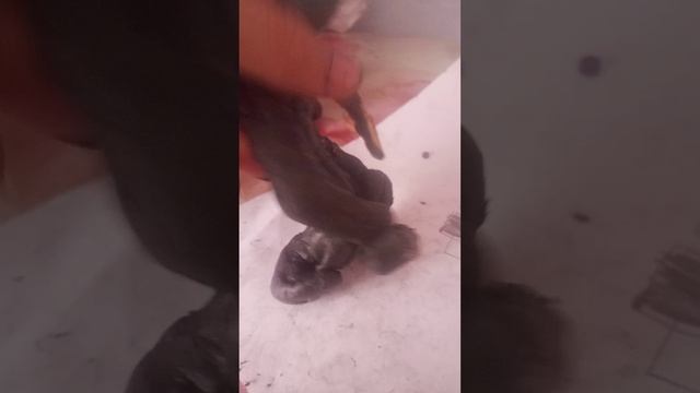 Izoleut 3 сезон 8 серия