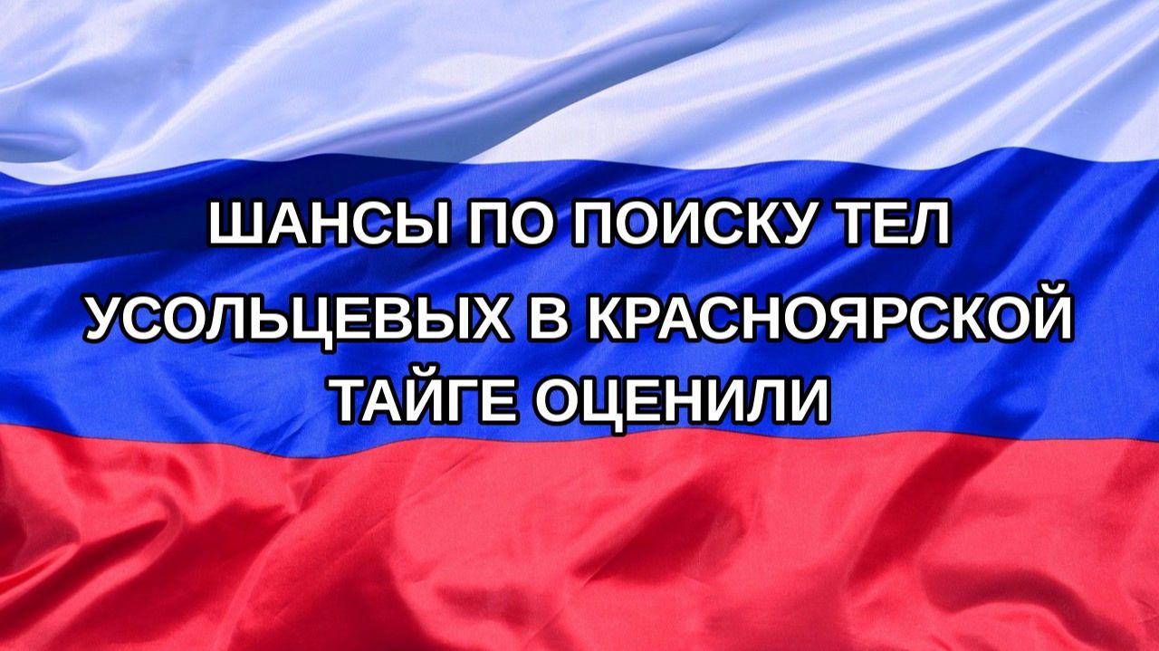 |Н. РФ| Шансы по поиску тел Усольцевых в красноярской тайге оценили