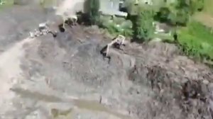 Хлорелла для водоемов нашего производства 89262248728 рыбалка платная рыбалка рыболов хлорелла
