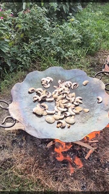 Шампиньоны, которые покорят всех