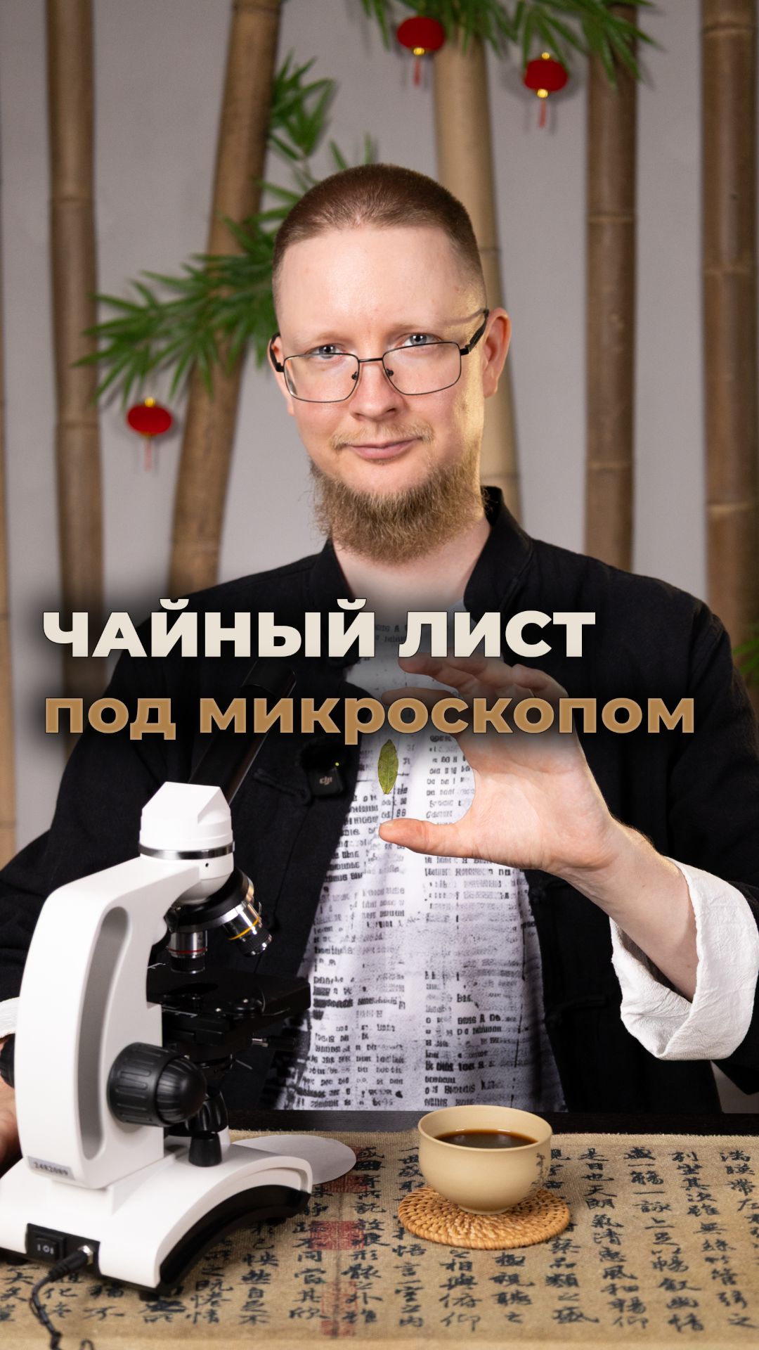 Чайный лист под микроскопом
