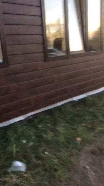 23683.mp4