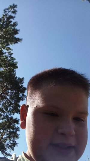 На велах в парке