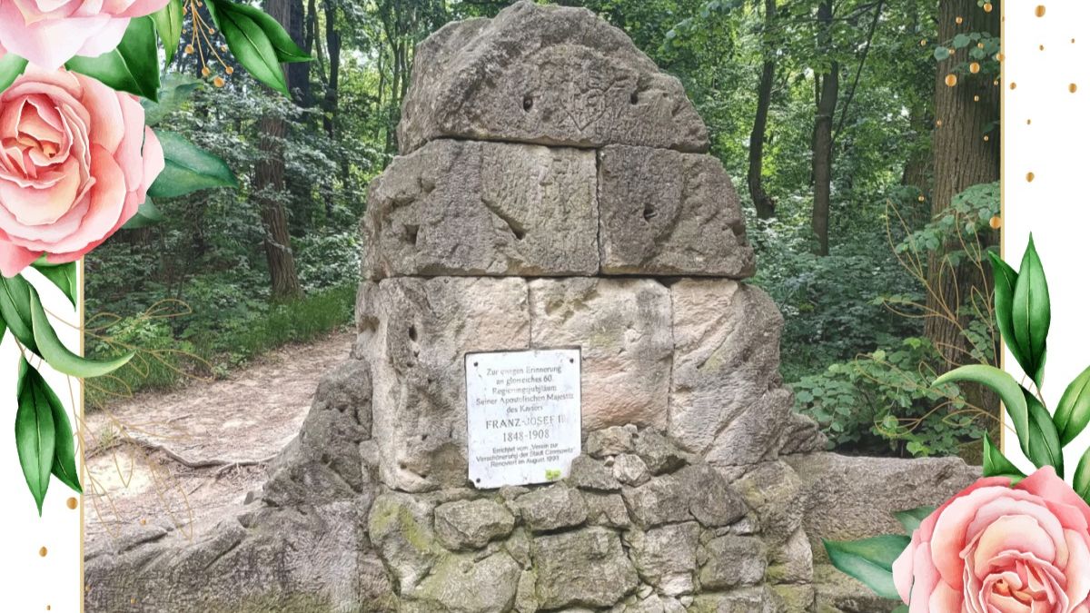 Прогулянка   парком  Федьковича