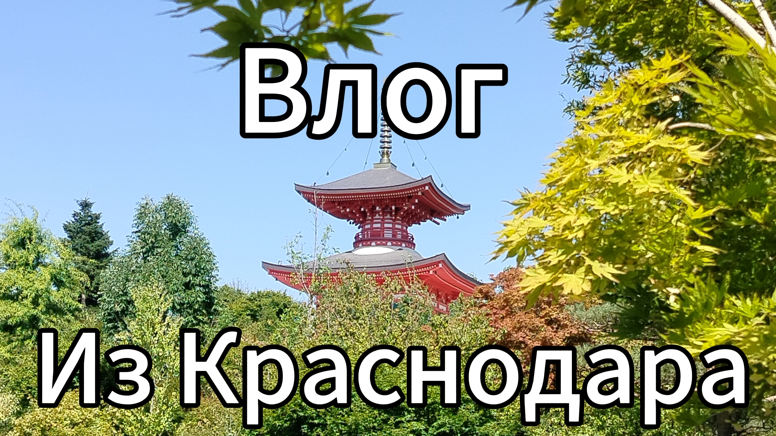 Влог из Краснодара , Снял фулл поездку