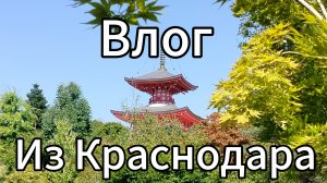Влог из Краснодара , Снял фулл поездку