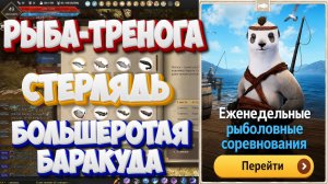 БДО. Рыба-тренога. Стерлядь. Большеротая баракуда. Рыболовные соревнования. 10-15.08.2026.