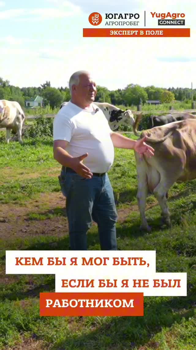 Как семейное хозяйство в Дмитрове делает прибыль на рассаде