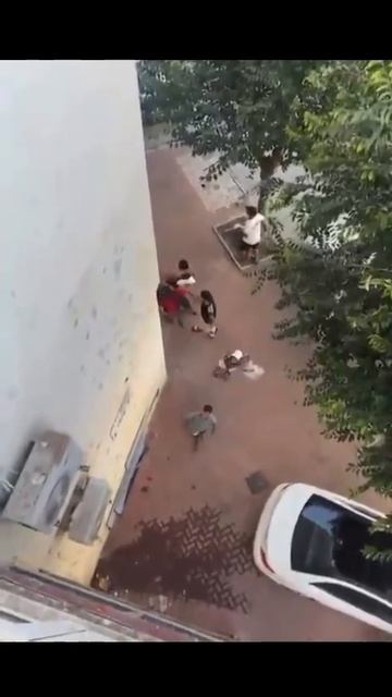 ����� �����