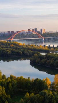 Сегодня приснился сон