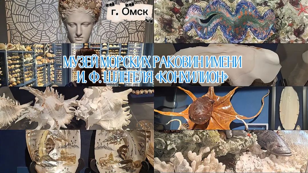 ТАКОГО ВЫ ЕЩЁ НЕ ВИДЕЛИ😱МУЗЕЙ МОРСКИХ РАКОВИН 