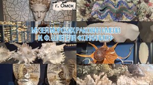 ТАКОГО ВЫ ЕЩЁ НЕ ВИДЕЛИ😱МУЗЕЙ МОРСКИХ РАКОВИН «КОНХИЛИОН»🔥 ЗУБ МЕГАЛОДОНА ЗА 50 000 РУБЛЕЙ🤑