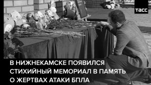 В Нижнекамске появился стихийный мемориал в память о жертвах атаки БПЛА