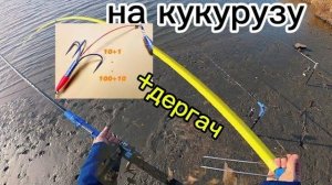 Китайский спининг ловит рыбу сам! #fishing #рыбалка #