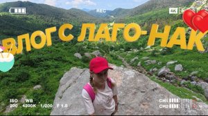 Большой Влог с Лаго-Нак!