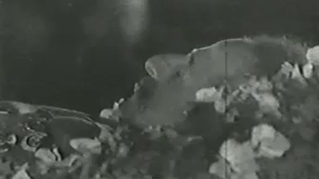 История. Первые годы Советского Государства. Памяти Серго Орджоникидзе