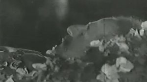 История. Первые годы Советского Государства. Памяти Серго Орджоникидзе