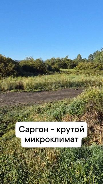 курорт саргон