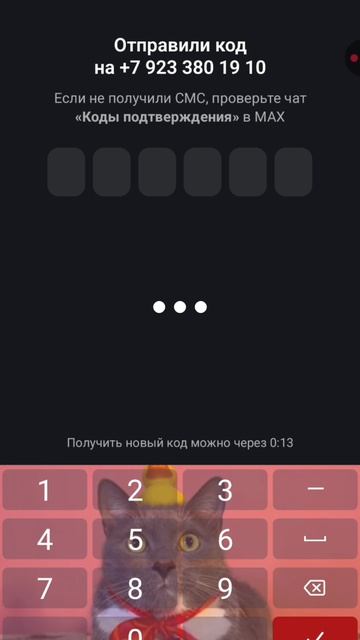 ...что делать номер телефона +79233801910