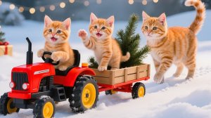 Мама-кошка подстригает шерсть на ферме и делает тигровую шапку для котят дома🐾🎩🐯