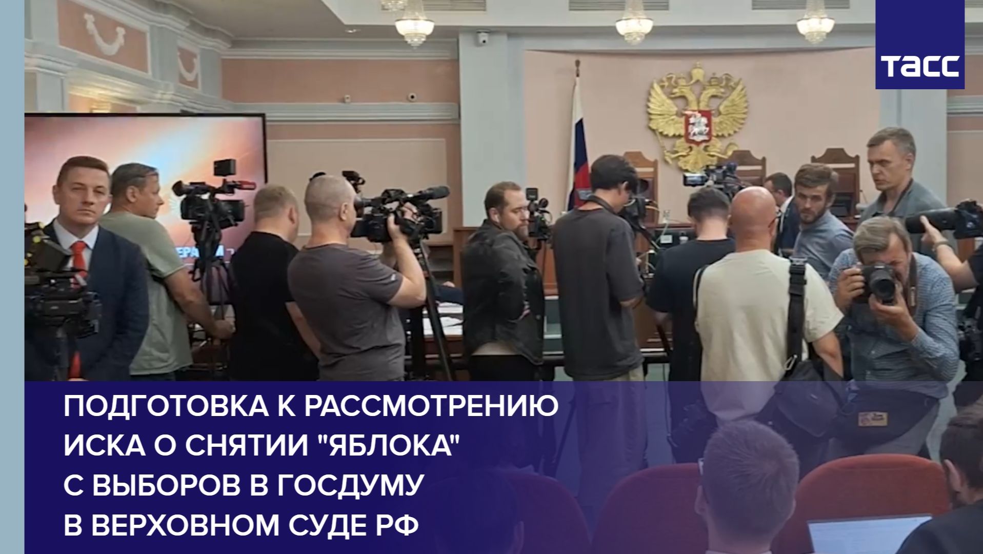 Подготовка к рассмотрению иска о снятии 