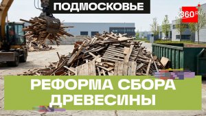 Куда деть старую мебель? Пунктов приема древесины на переработку станет больше – Мособлдума