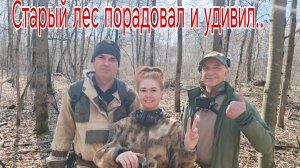 Старый лес порадовал и удивил... @ДивКладоискатель, Бабский Коп и Андрей. День 2. 18.04.25г