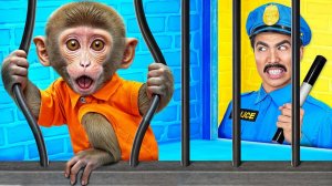 Побег Обезьянки из Тюрьмы для Домашних Животных