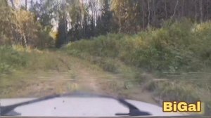 Лайтовый выезд