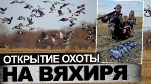 Открытие охоты на вяхиря
