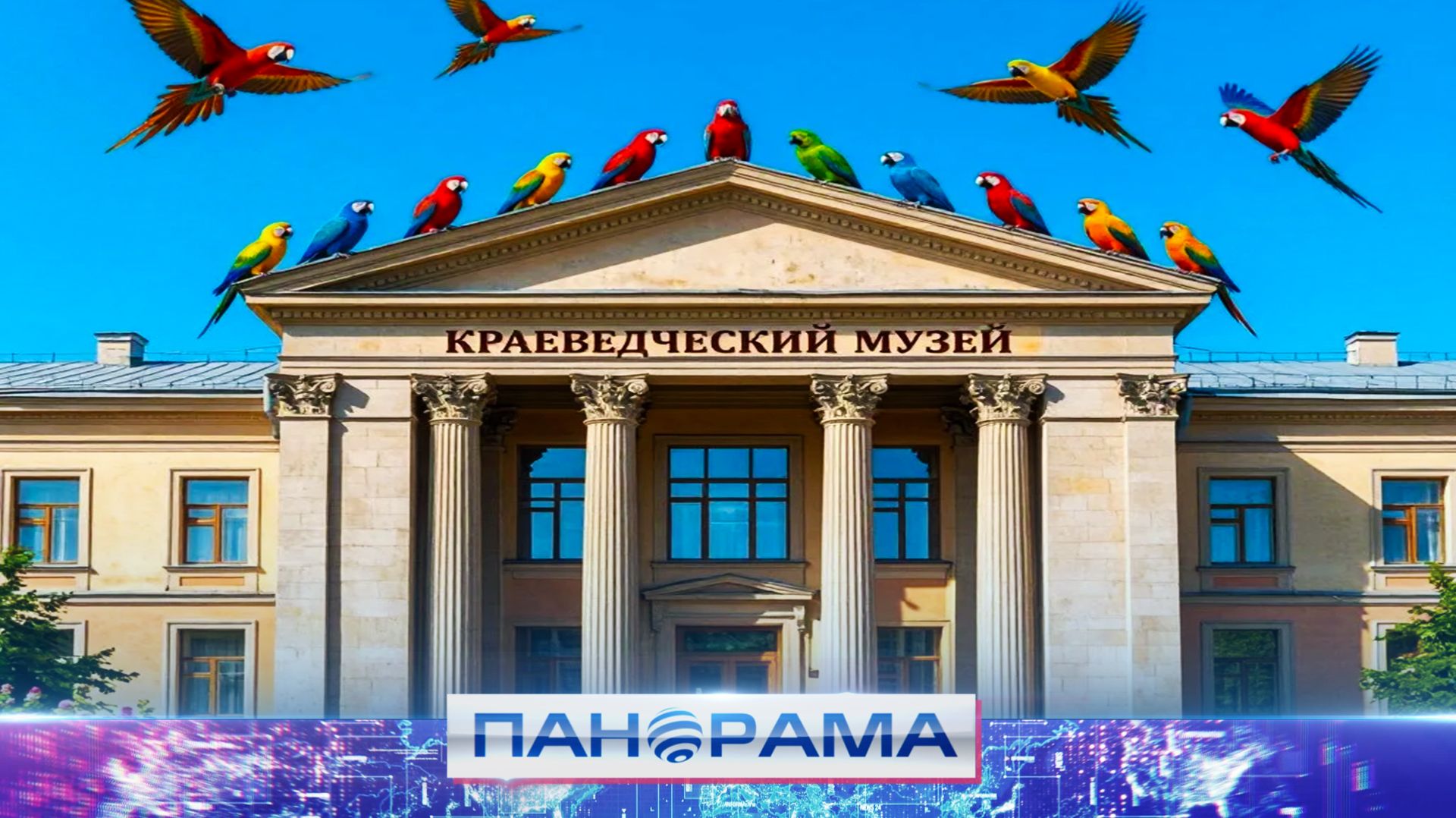 ⚡️ Пернатые родного края! Какие интересные факты узнали ребята о птицах?