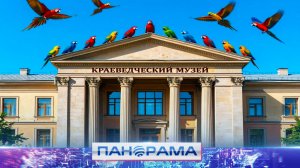 ⚡️ Пернатые родного края! Какие интересные факты узнали ребята о птицах?
