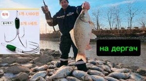 Огромные караси на дергач в микро речке