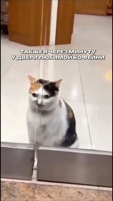 😂😂😂

#рилс #рекомендации #кофе #кофейня #юмор