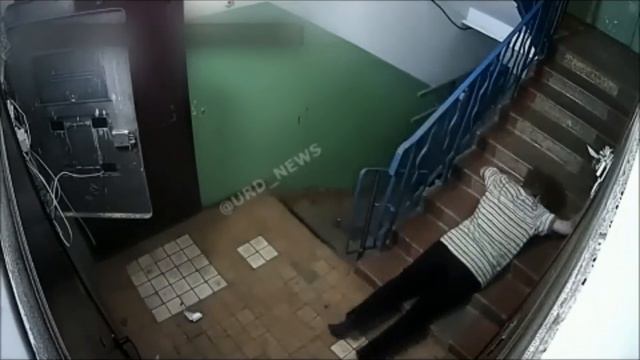 Иногда встречаются такие соседи.