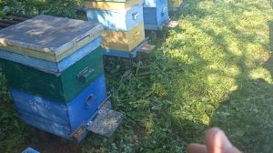 А может не продавать