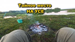 Река УСА, село КАМАРОВКА, рыбалка 21 июля 2026 года