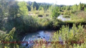 Осенняя охота 2026.