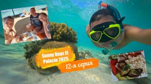 Sunny Days El Palacio 4*. Отпуск Египет Осень-2025. 12-я серия